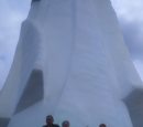 3 maj - 2016 - rokitno